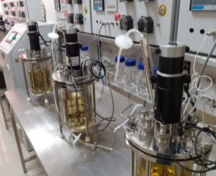 酶今年会生物反应器